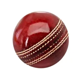 Cricket Leather Ball