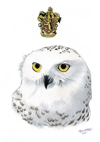 Hedwig Giclee Print by Ryan Berkley