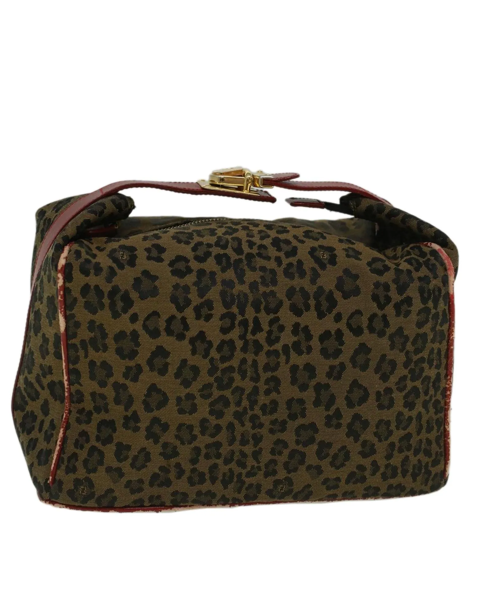 Nylon Leopard Hand Bag