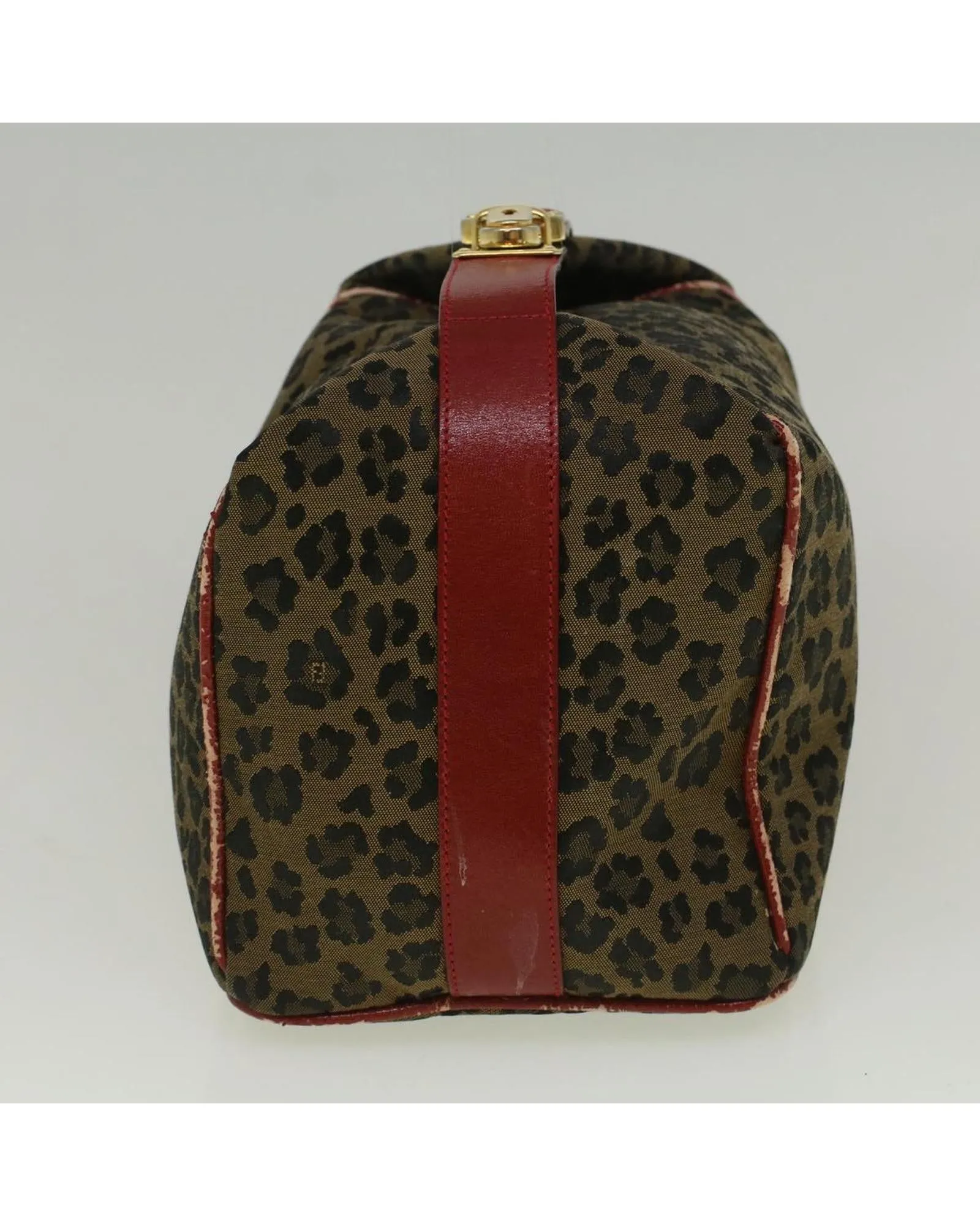 Nylon Leopard Hand Bag