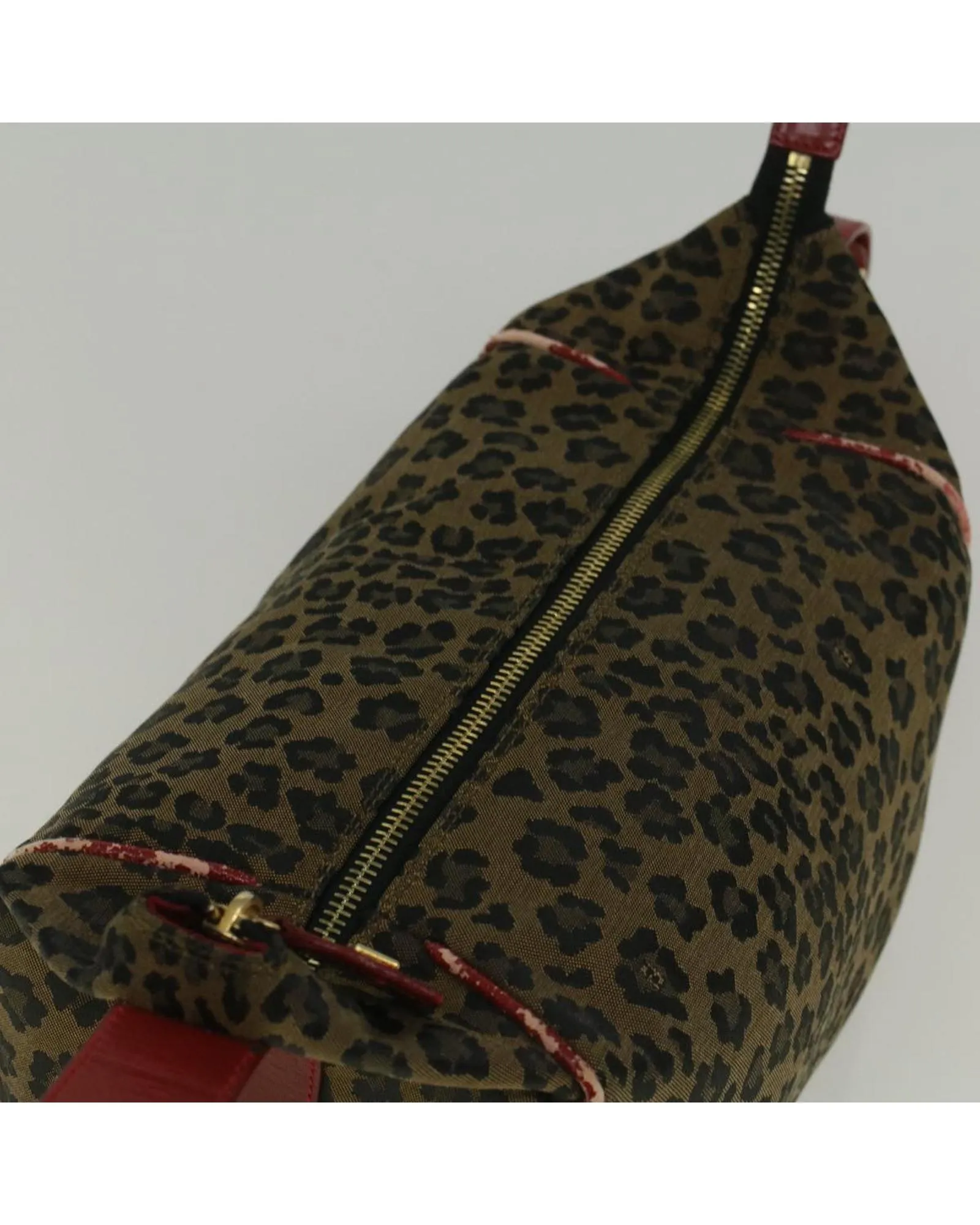 Nylon Leopard Hand Bag