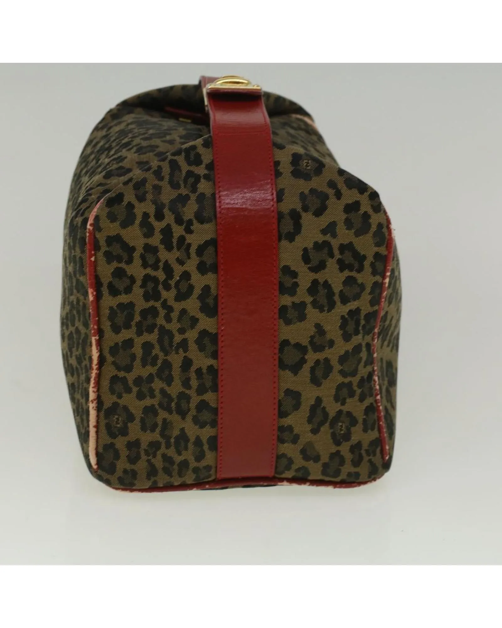 Nylon Leopard Hand Bag